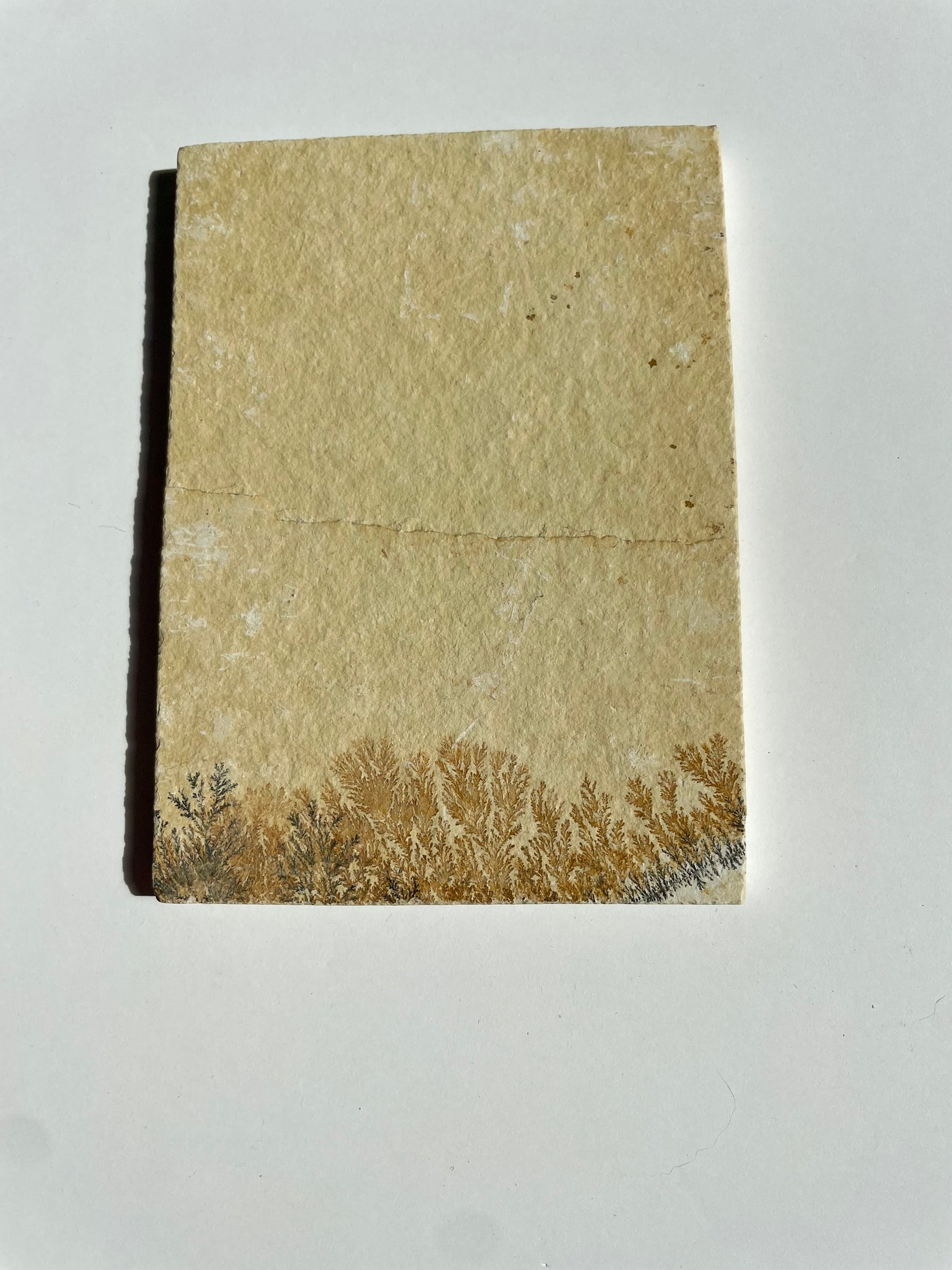 Mini Dendritic Slab 10