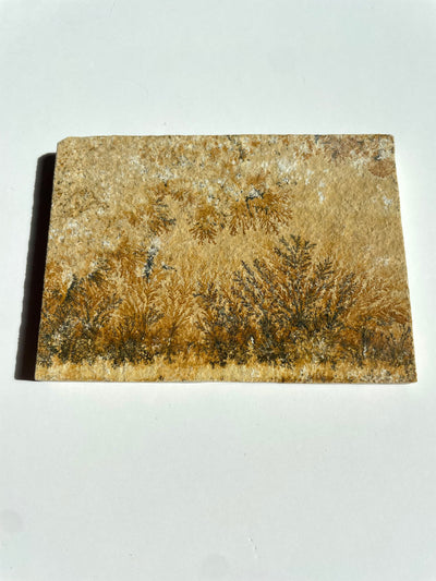 Mini Dendritic Slab 2