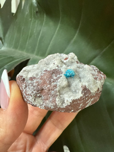 Cavansite 5
