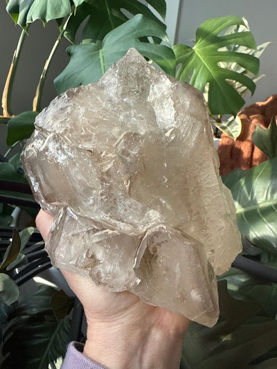 Smoky Elestial and Lemurian Quartz 2