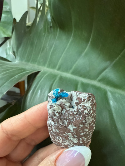 Cavansite 18