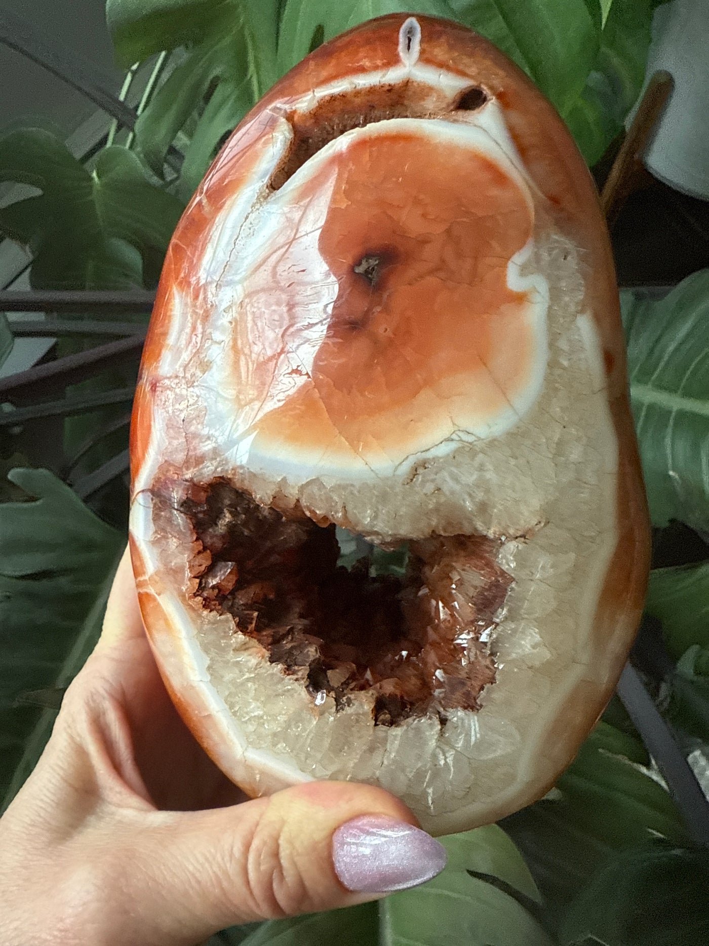 Carnelian Free form 2