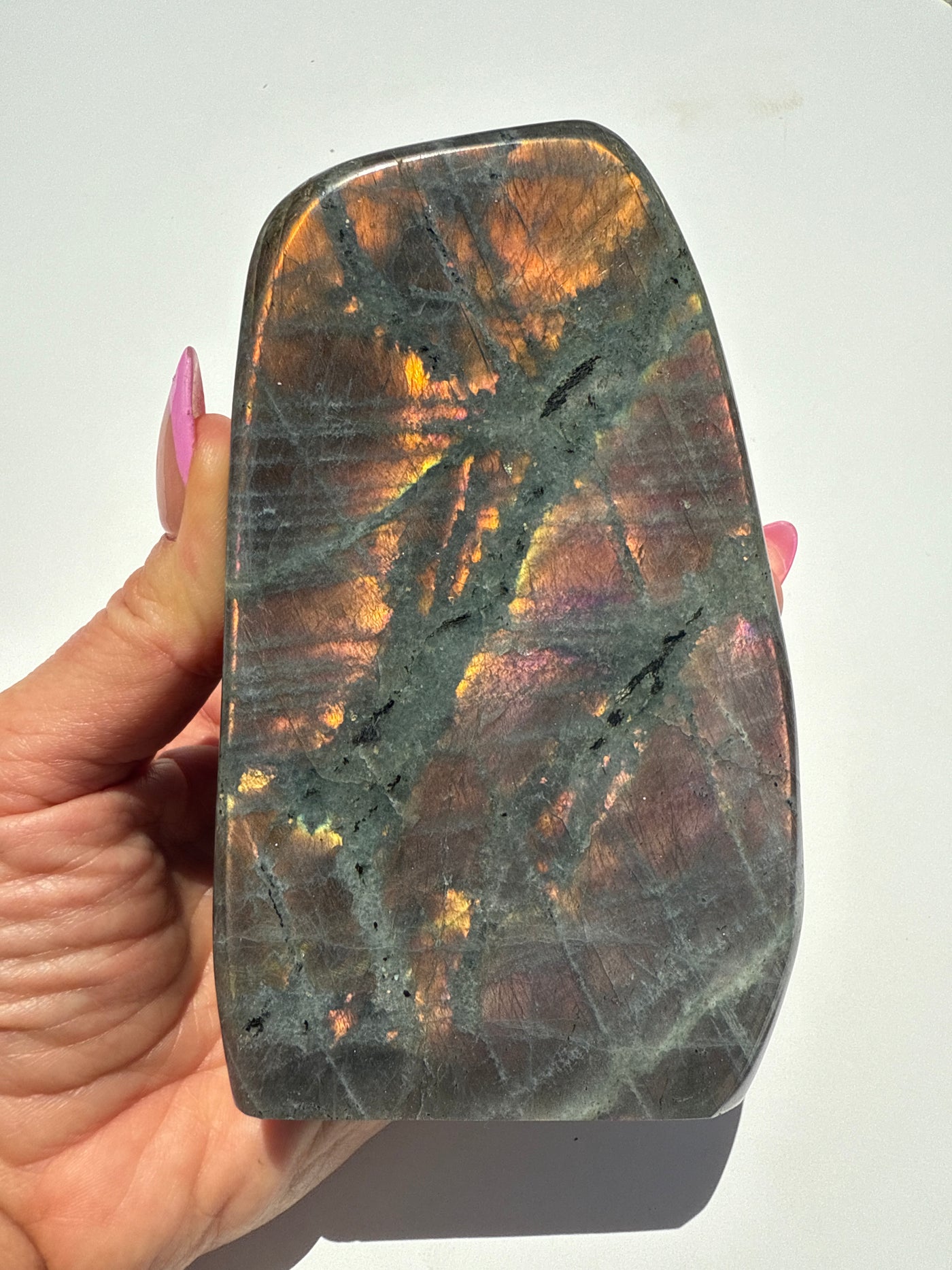 Purple Haze Spectrolite Freeform 8