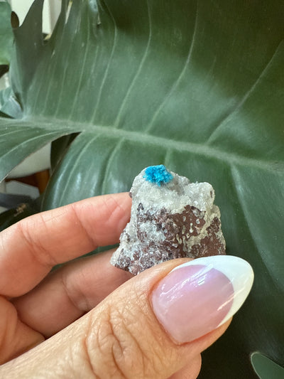 Cavansite 32