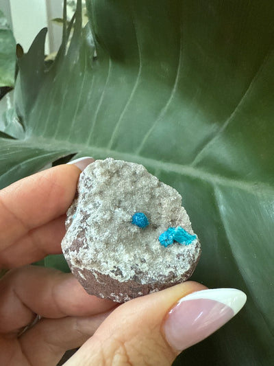 Cavansite 16