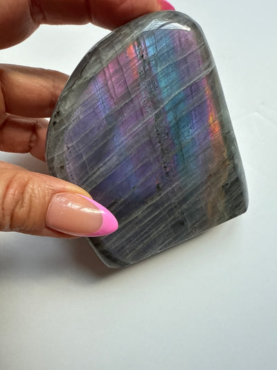 Purple Haze Spectrolite Freeform 13