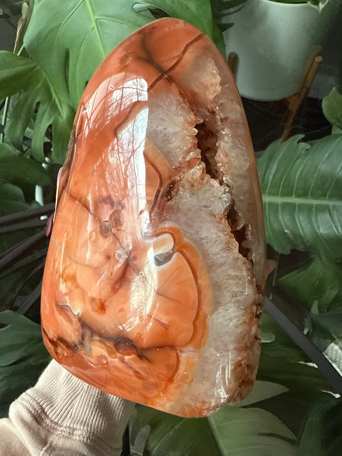 Carnelian Free form 3