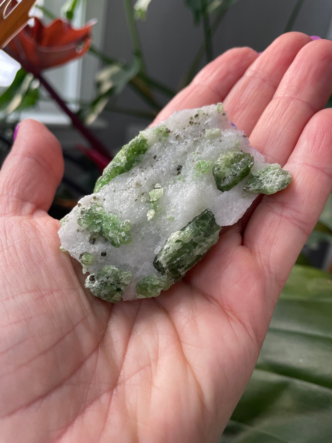 Chromium Diopside in Quartz Matrix 29