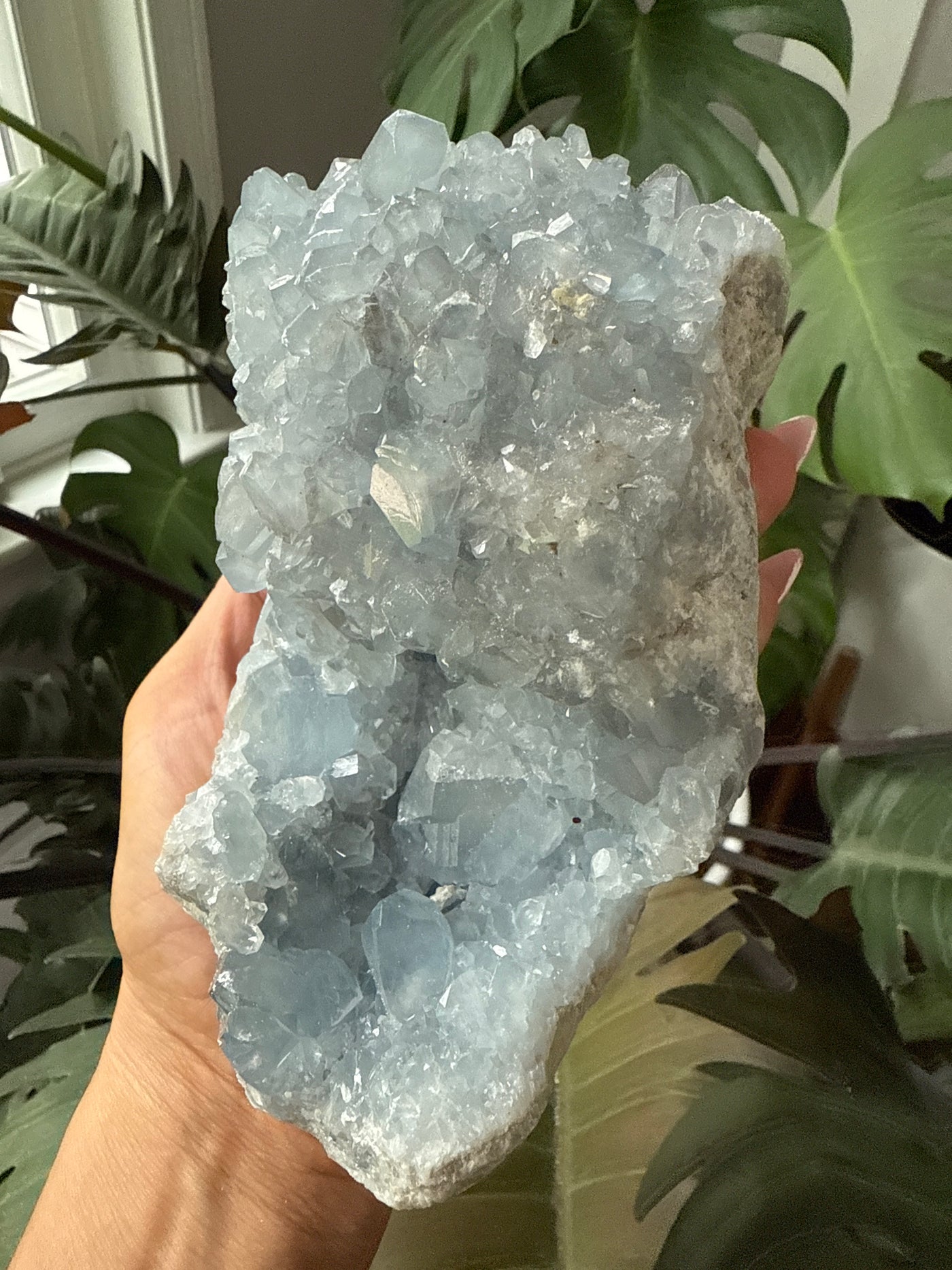 Celestite Geode 6