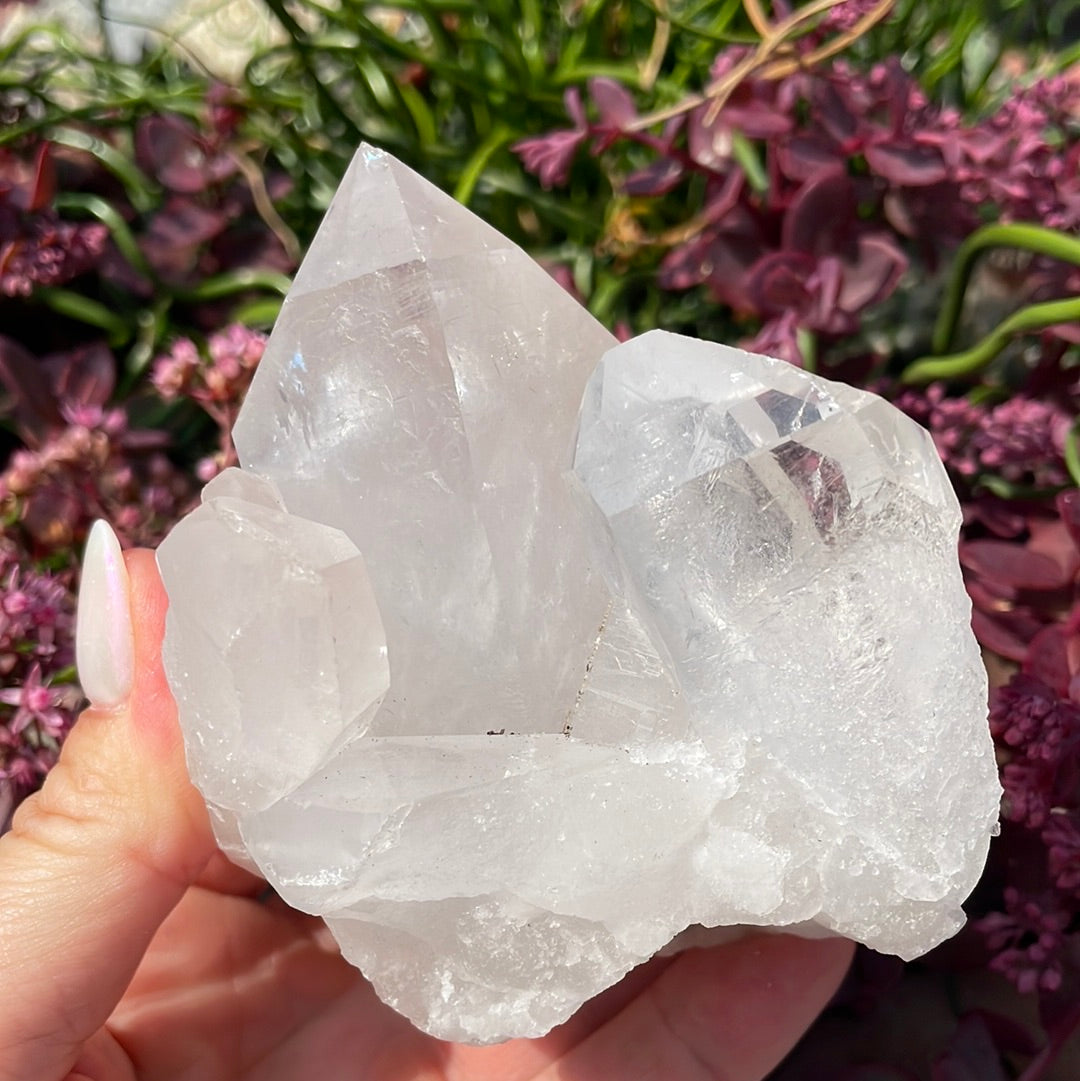 Clear Quartz Cluster 13