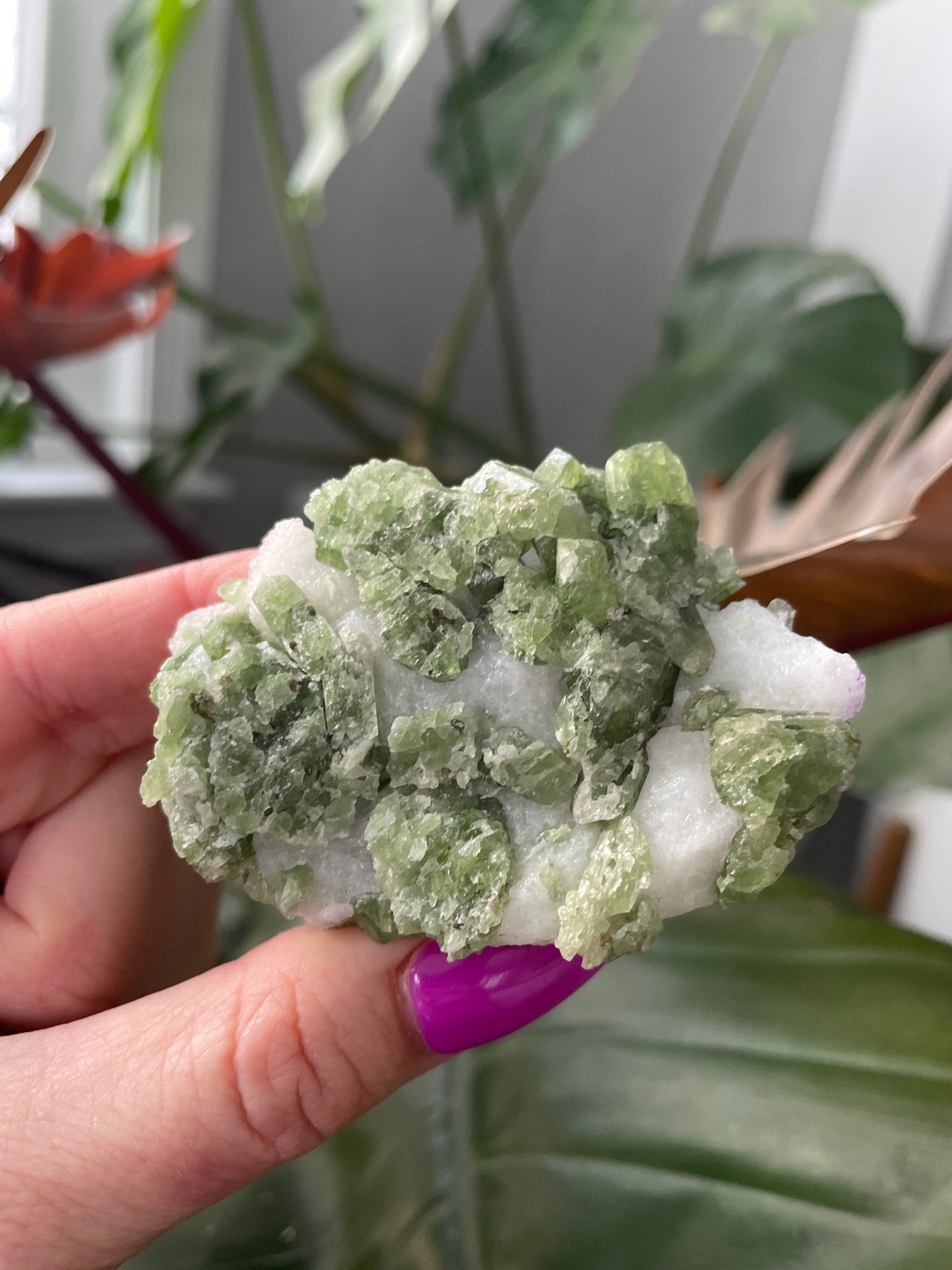 Chromium Diopside in Quartz Matrix 4