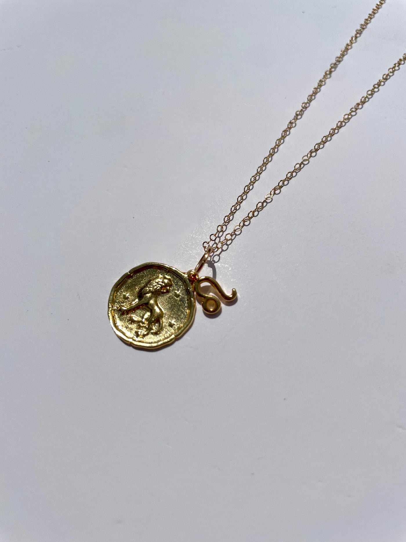 Zodiac Medallion with Mini Charm Necklace