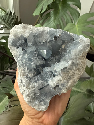 Celestite Geode 2