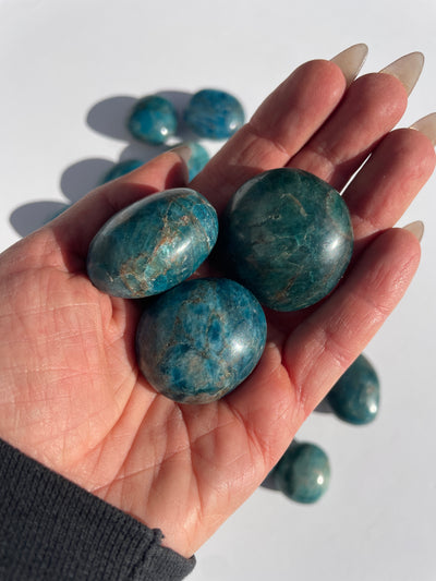 Petite Apatite Personal Wellness Stone