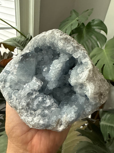 Celestite Geode 13
