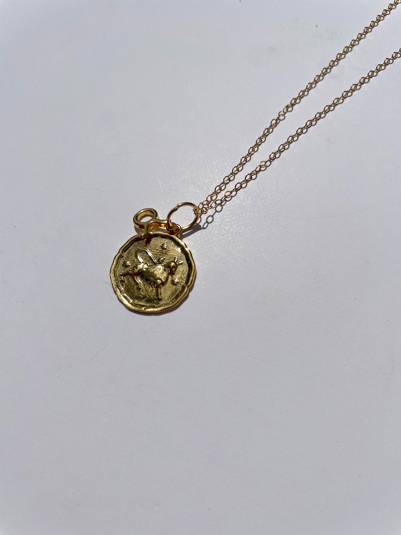 Zodiac Medallion with Mini Charm Necklace