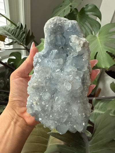 Celestite Geode 6