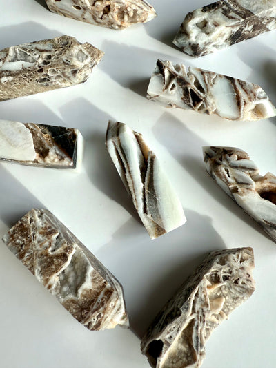 Fossilized and Agatized Coral Obelisk