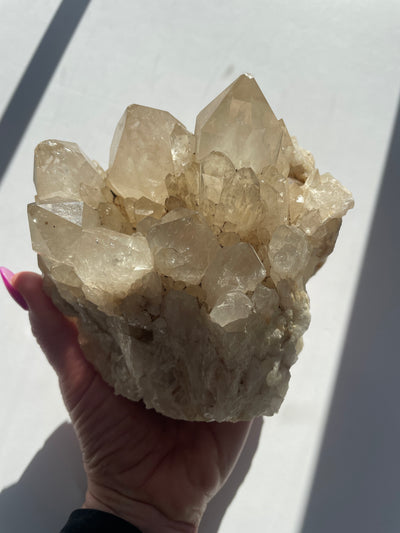 RARE Citrine Statement Cluster