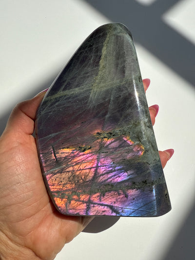 Purple Haze Spectrolite Freeform 7