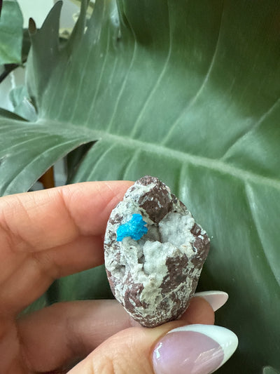 Cavansite 39