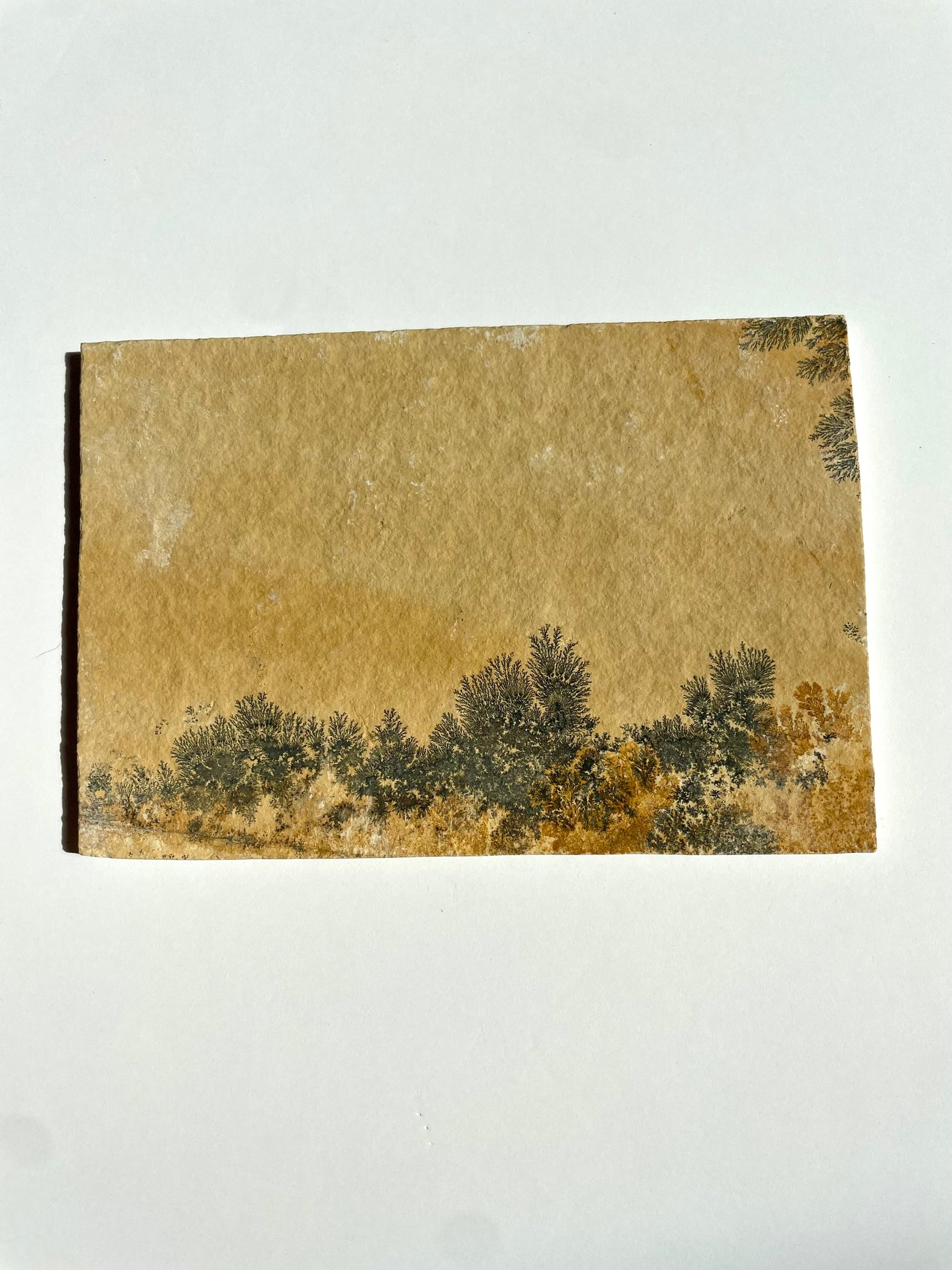 Dendritic Slab (Large)