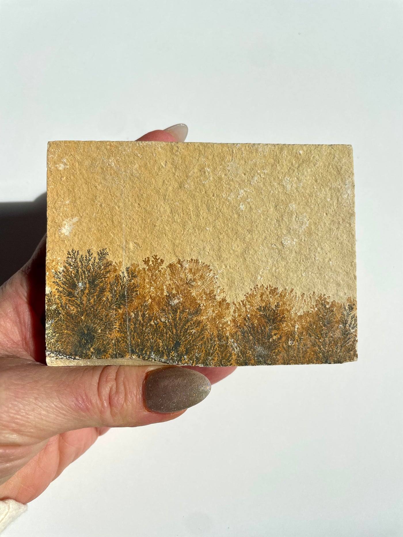 Mini Dendritic Slab 4