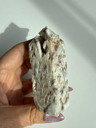 Fossilized and Agatized Coral Obelisk