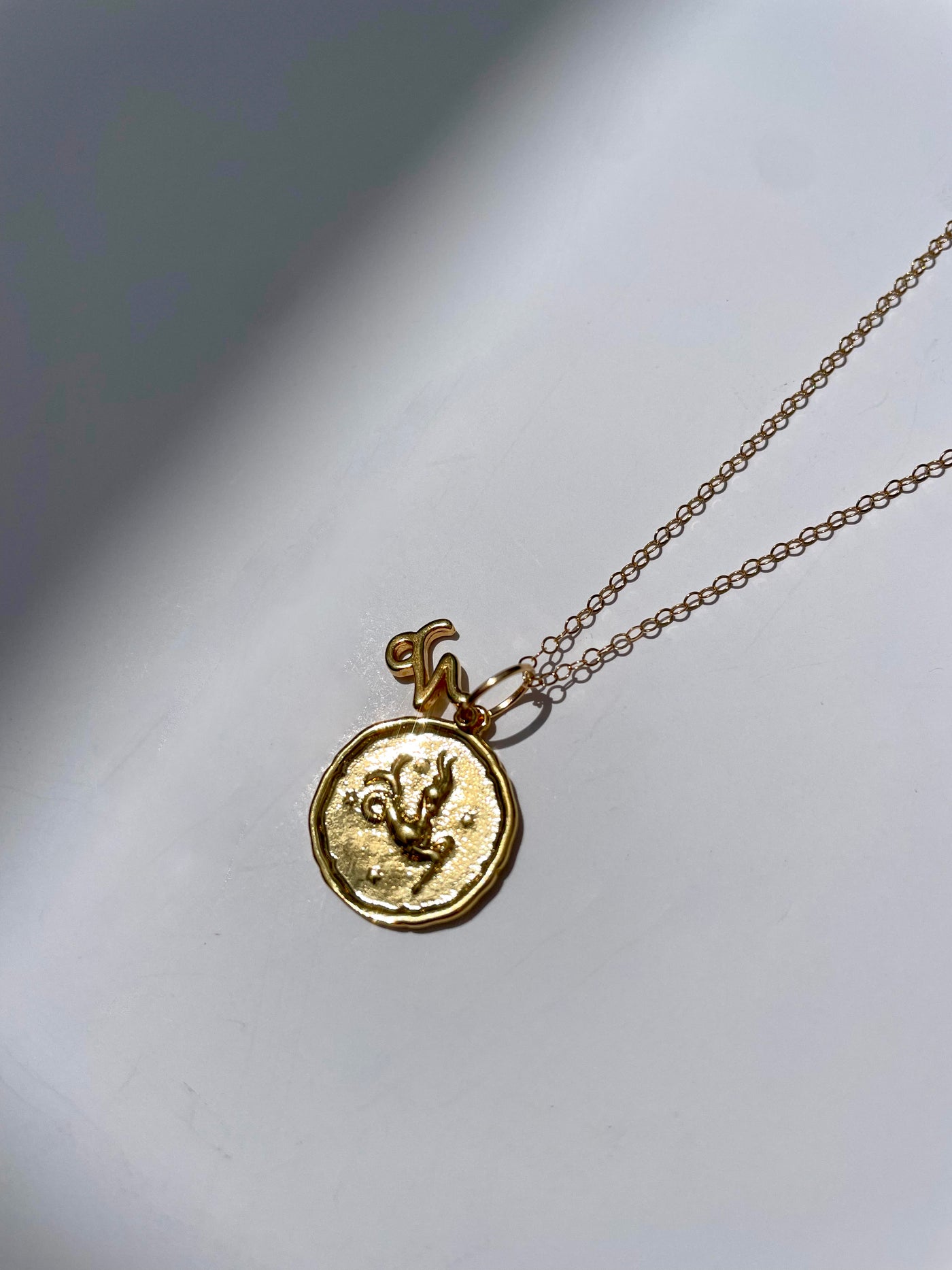 Zodiac Medallion with Mini Charm Necklace