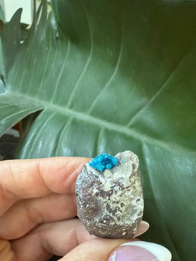 Cavansite 33