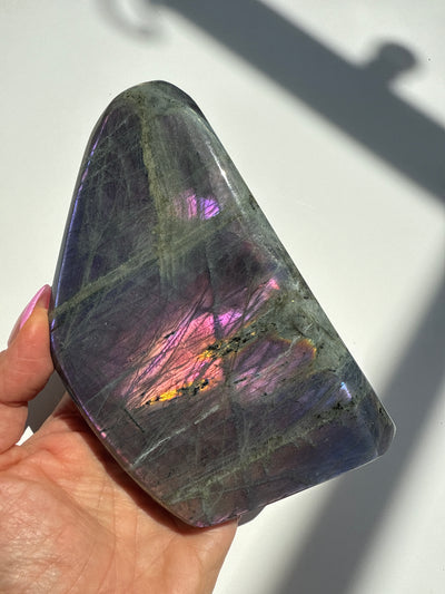 Purple Haze Spectrolite Freeform 7