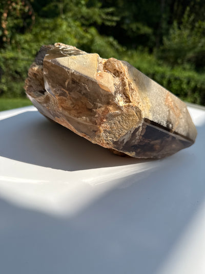 Museum Quality Smoky Citrine Elestial Quartz