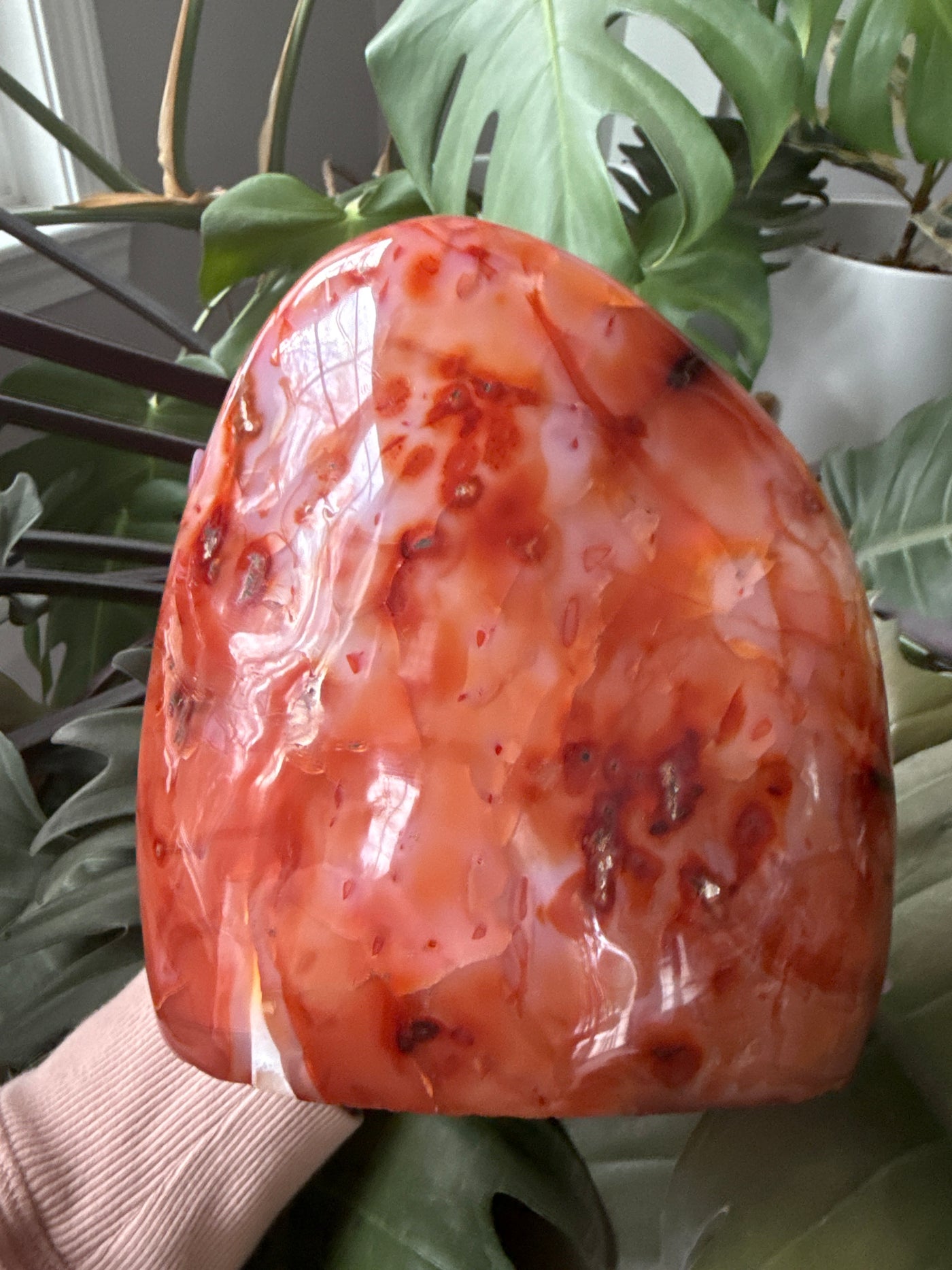 Carnelian Free form 1