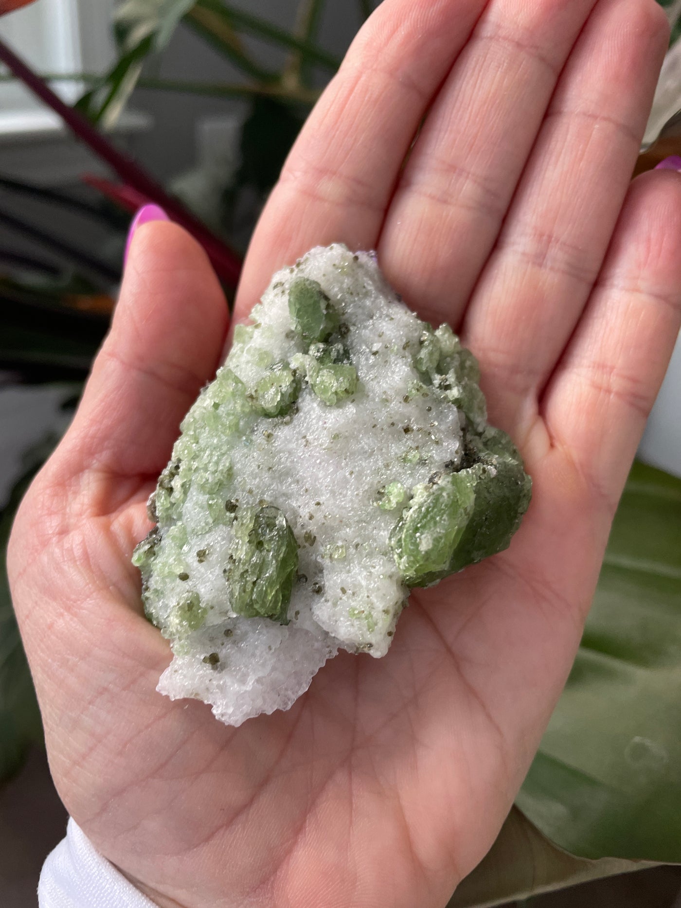 Chromium Diopside in Quartz Matrix 13