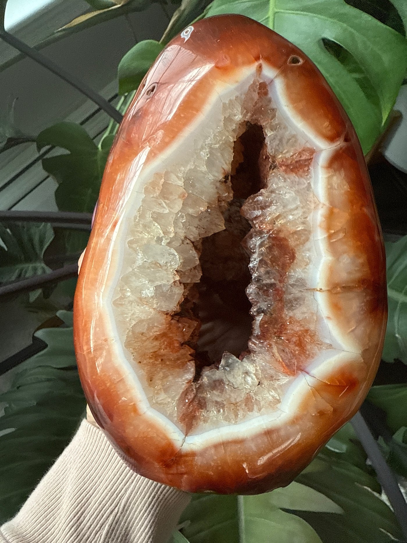 Carnelian Free form 2