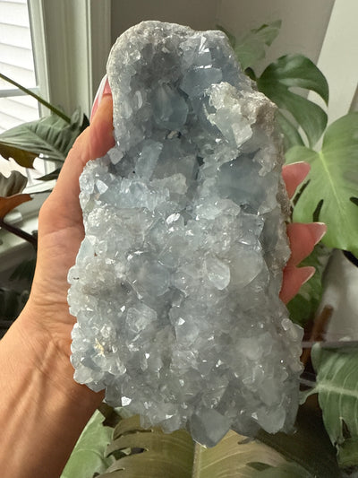 Celestite Geode 6
