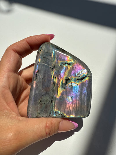 Purple Haze Spectrolite Freeform 16
