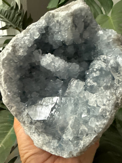 Celestite Geode 13