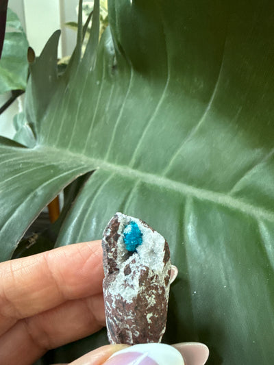 Cavansite 37