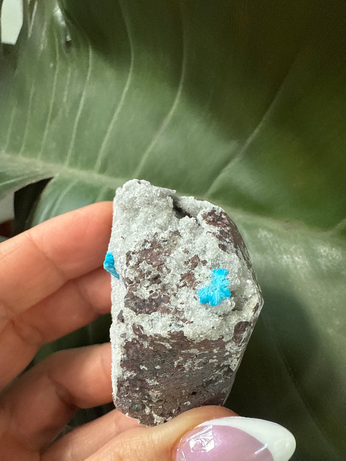 Cavansite 10