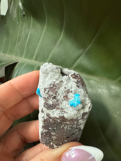 Cavansite 10