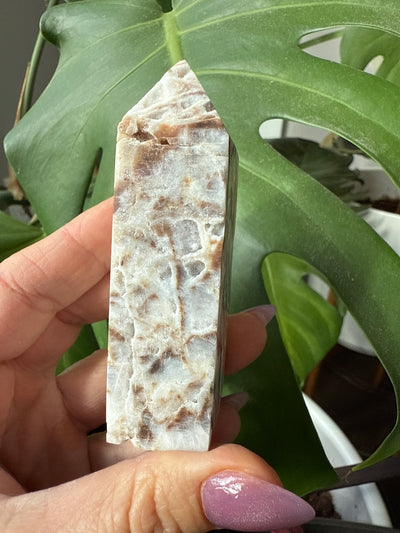 Fossilized and Agatized Coral Obelisk