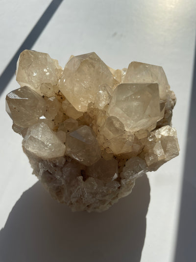 RARE Citrine Statement Cluster