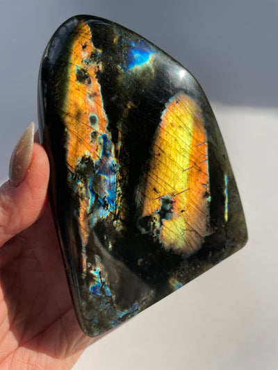 Spectrolite Freeform 4