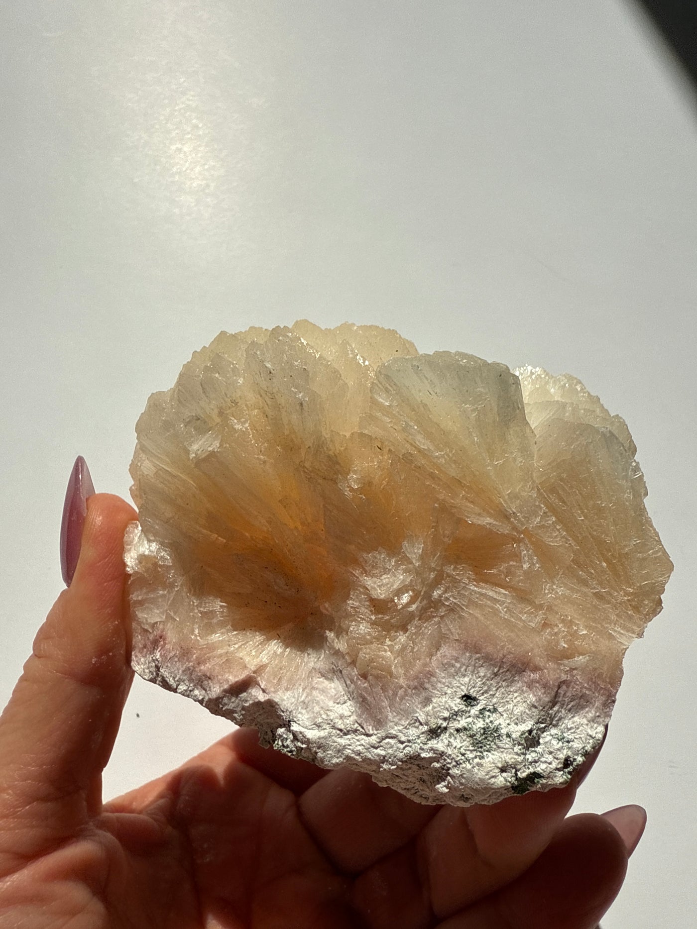 Zeolite Piece 48 - XL Stillbite
