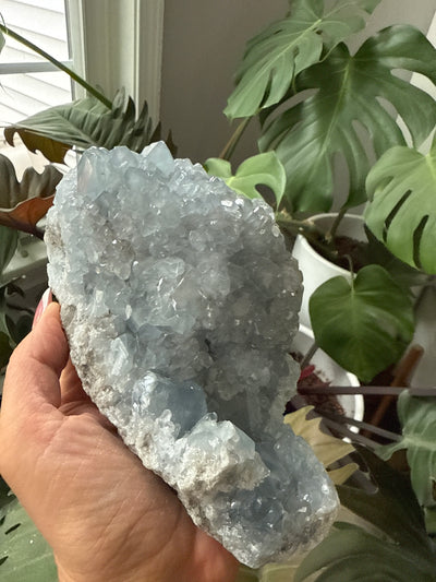 Celestite Geode 6