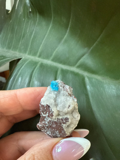 Cavansite 32