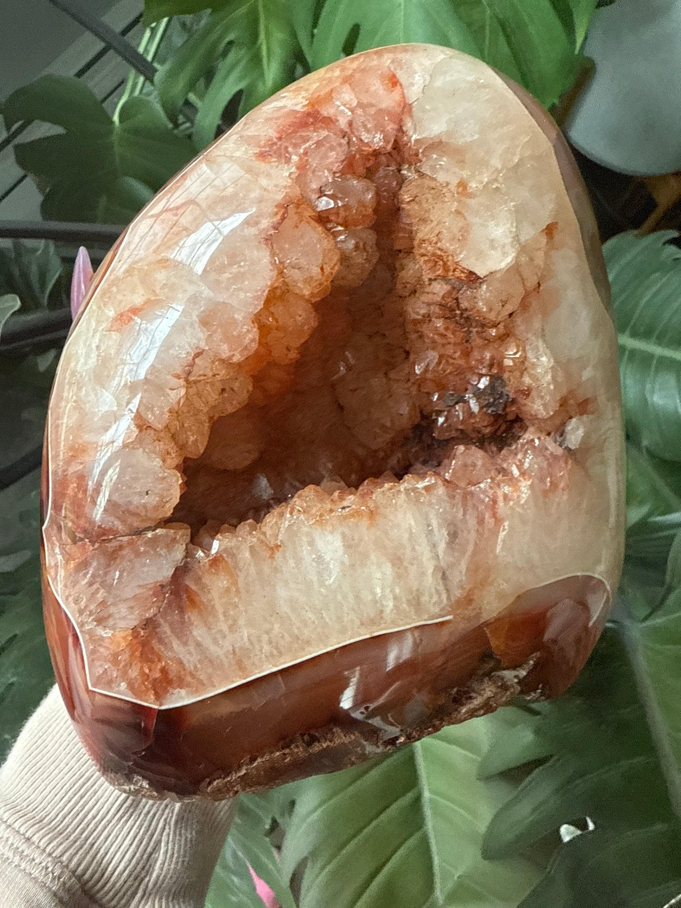 Carnelian Free form 1