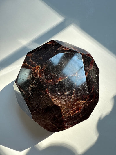 Faceted Garnet Showcase Piece 10
