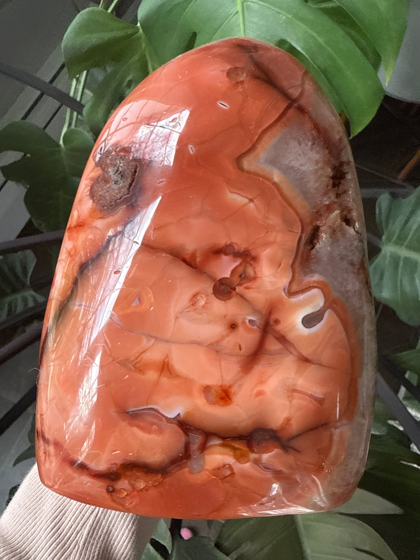 Carnelian Free form 3